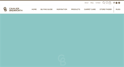 Desktop Screenshot of cavbrem.co.nz